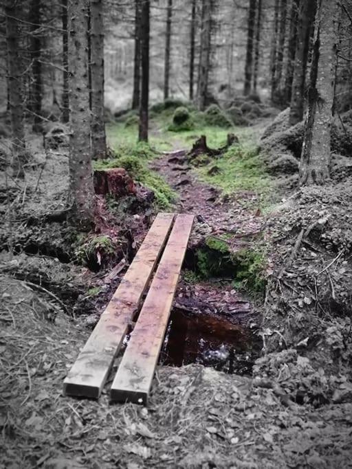 Отель Treetop Ekne - Hytte I Skogen Med Hengebru Левангер Экстерьер фото
