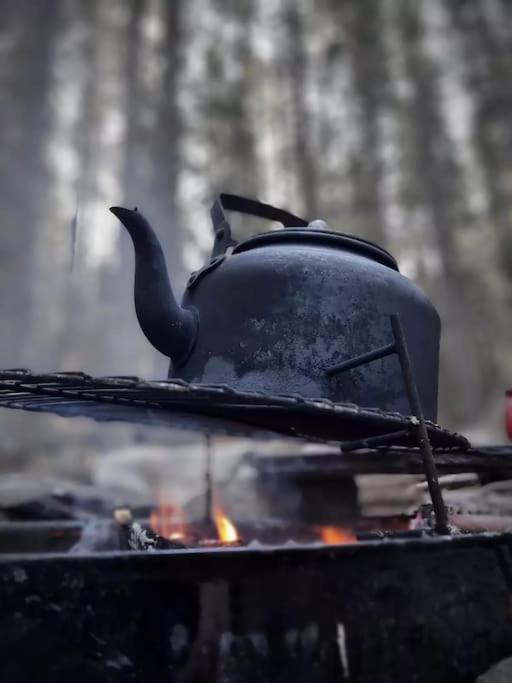 Отель Treetop Ekne - Hytte I Skogen Med Hengebru Левангер Экстерьер фото
