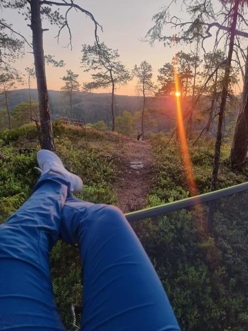 Отель Treetop Ekne - Hytte I Skogen Med Hengebru Левангер Экстерьер фото