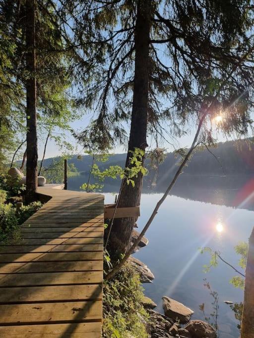 Отель Treetop Ekne - Hytte I Skogen Med Hengebru Левангер Экстерьер фото